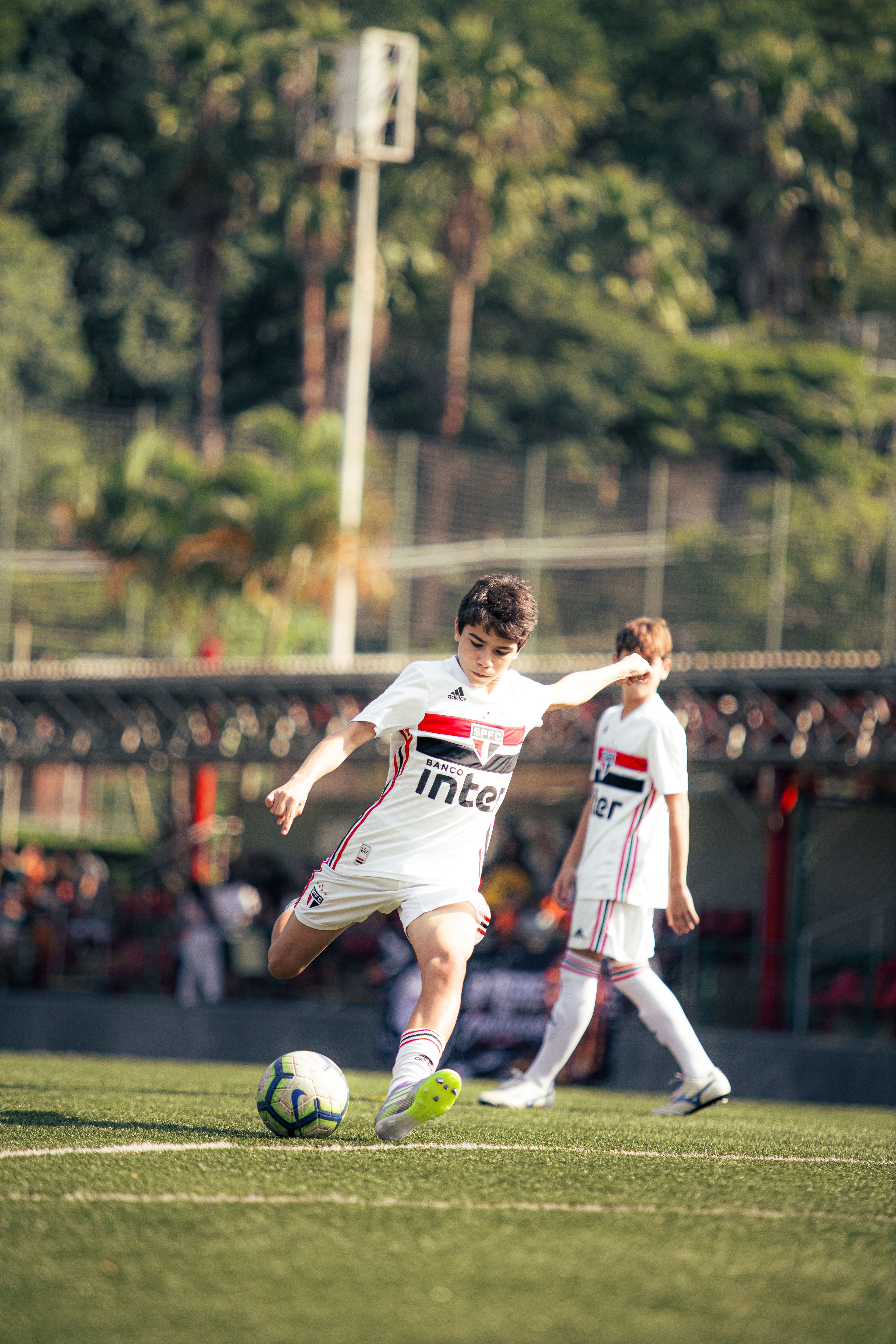 Campo