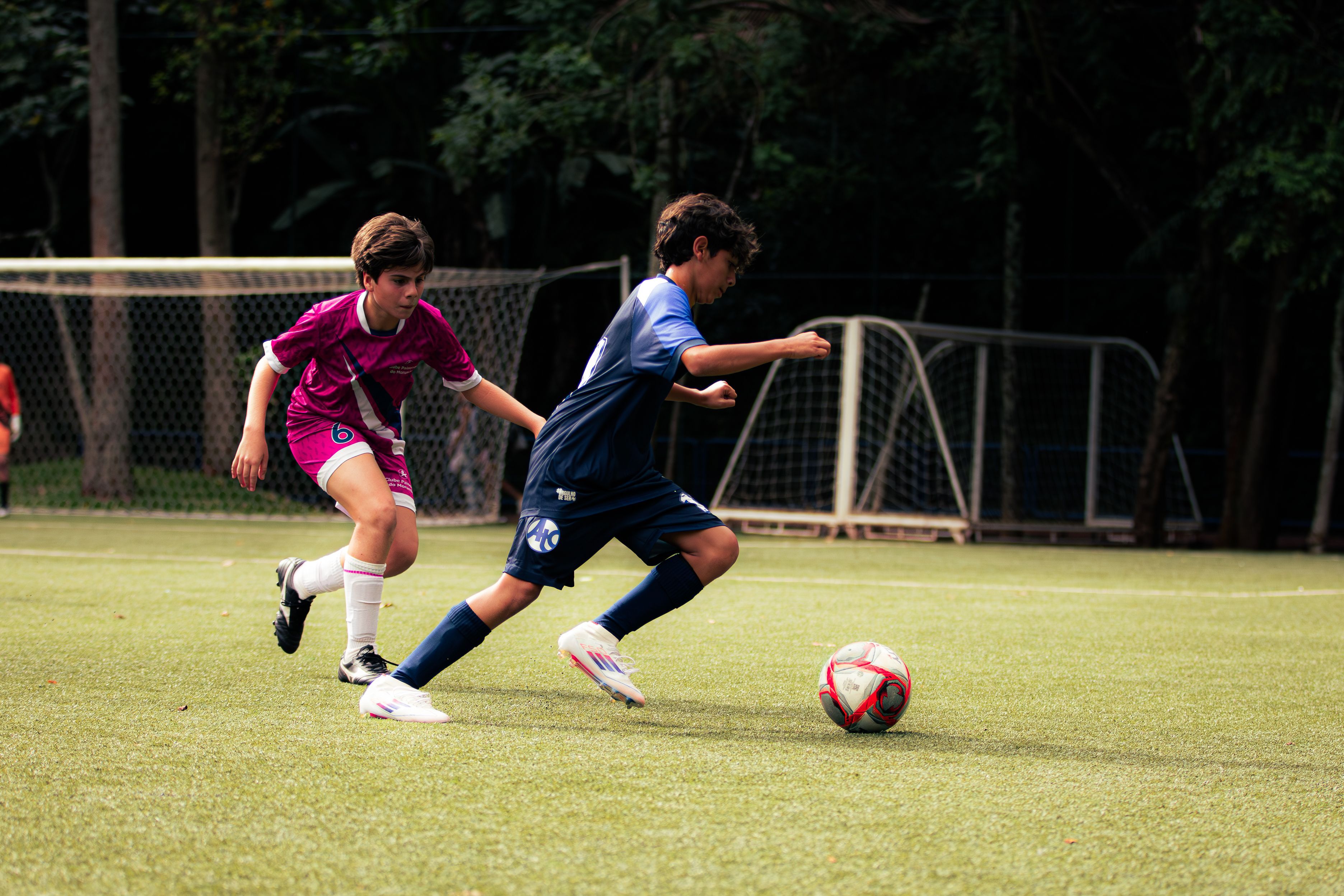 Campo — foto 6
