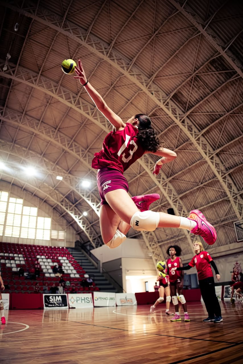 Vôlei