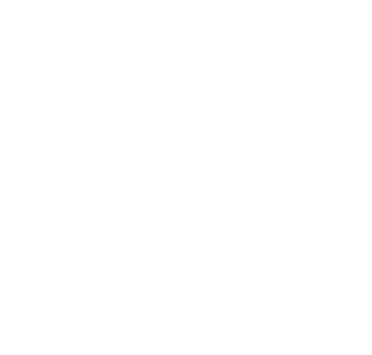 G3X