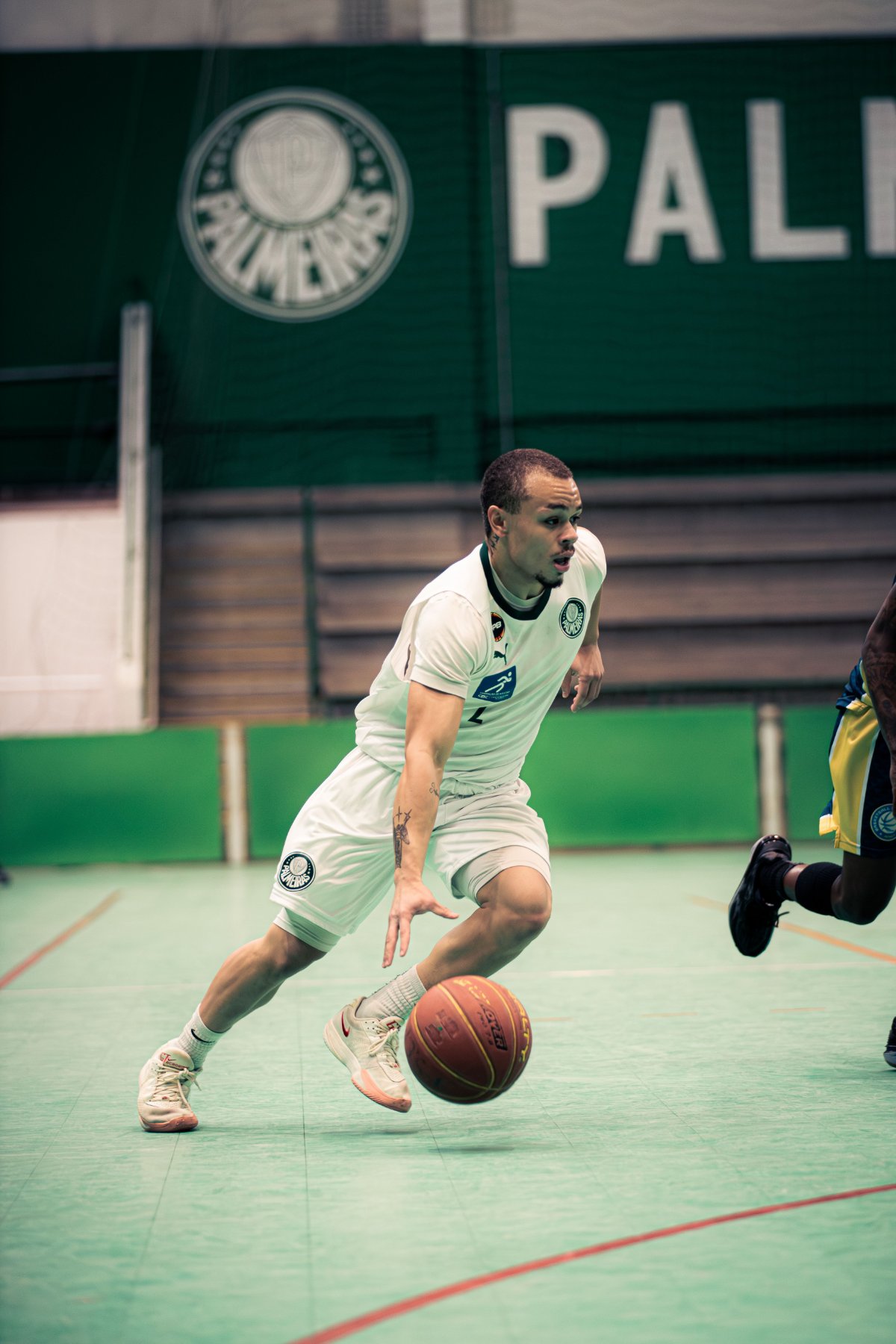 Palmeiras — foto 1