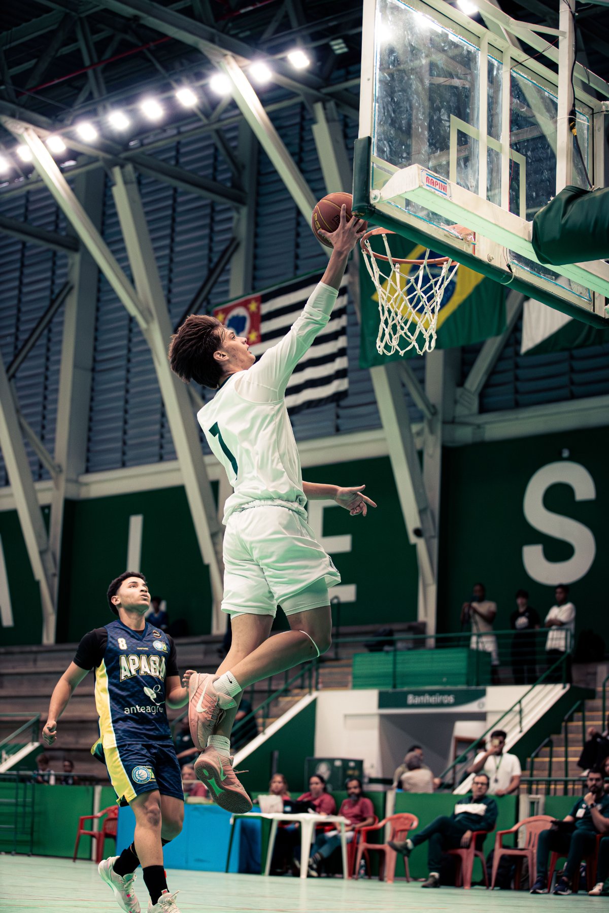 Palmeiras — foto 2