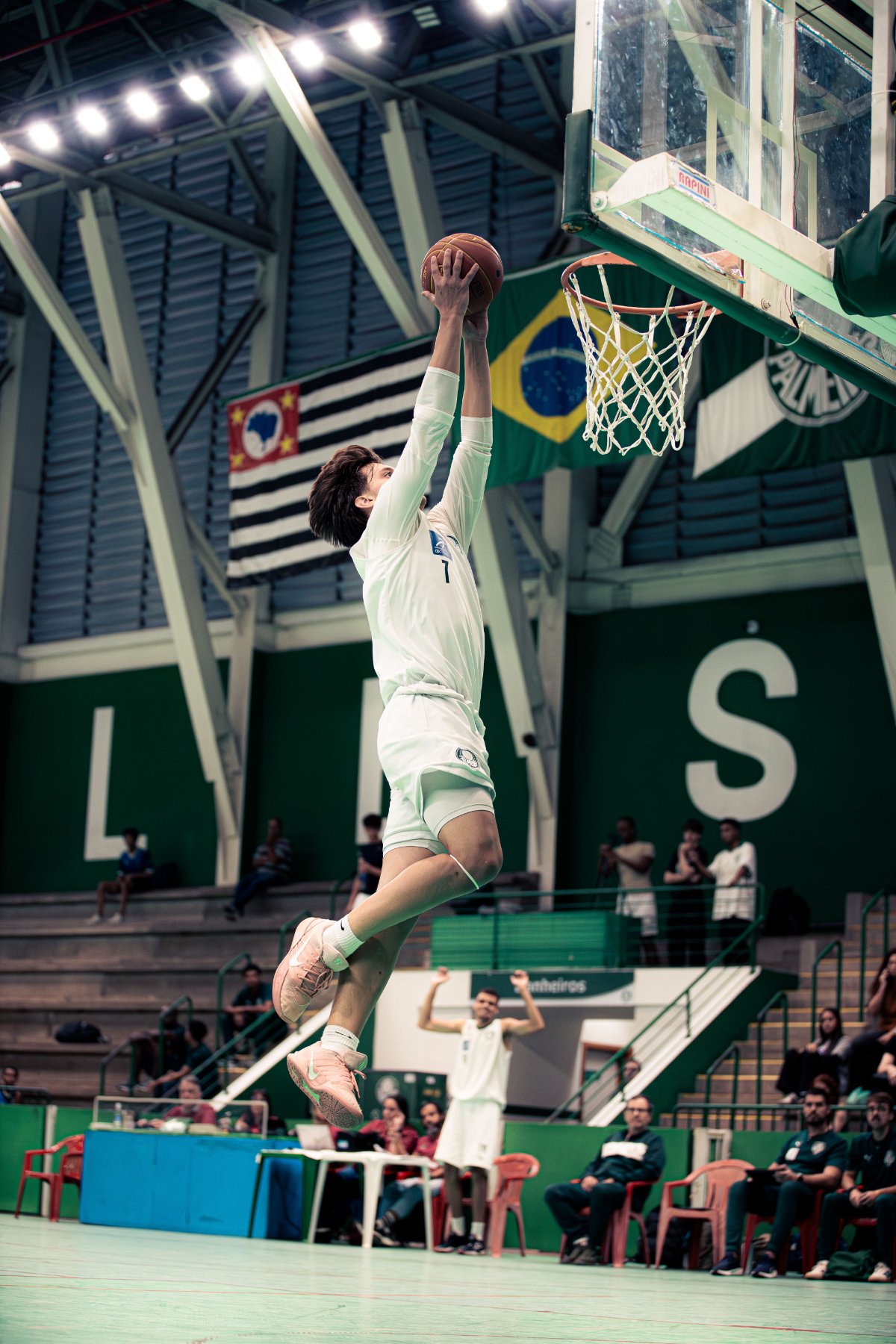 Palmeiras — foto 3