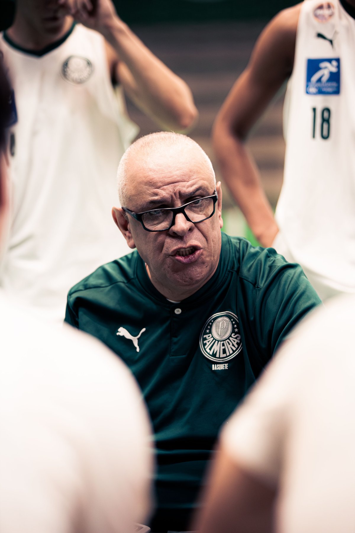 Palmeiras — foto 9