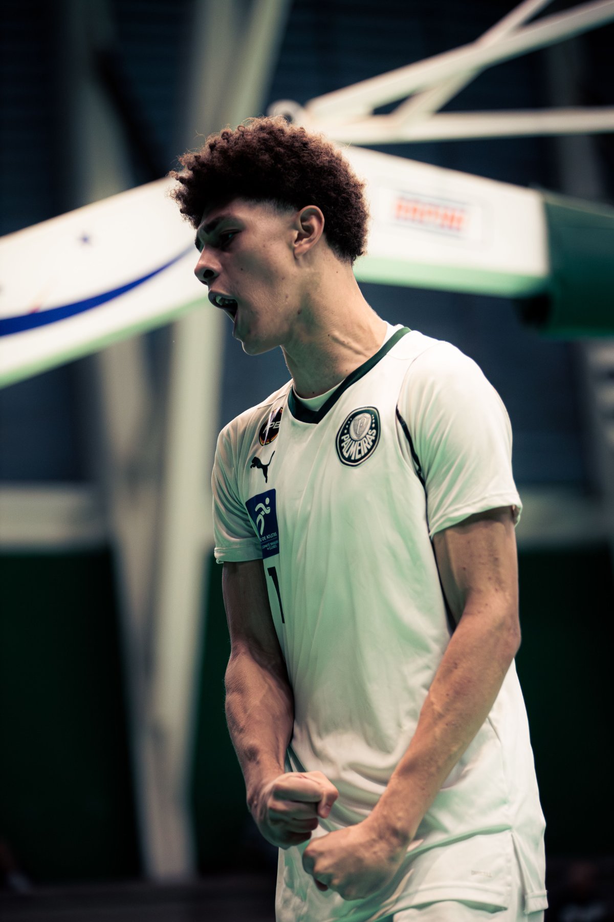 Palmeiras — foto 10