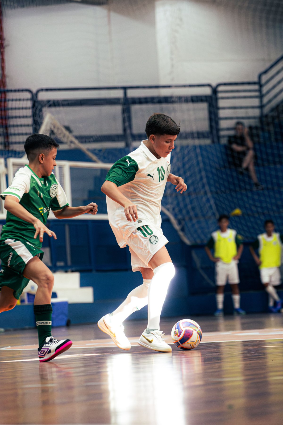 Palmeiras — foto 17