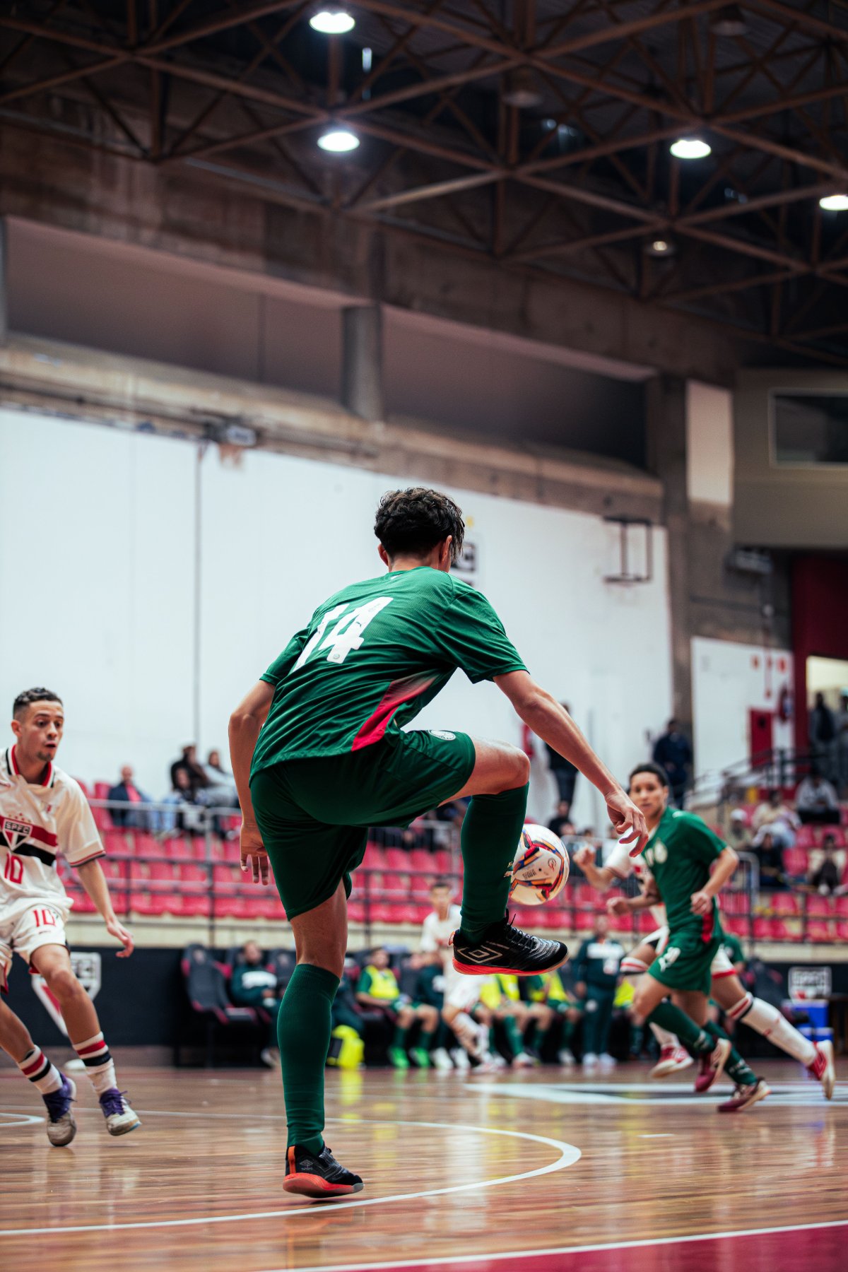 Palmeiras — foto 18