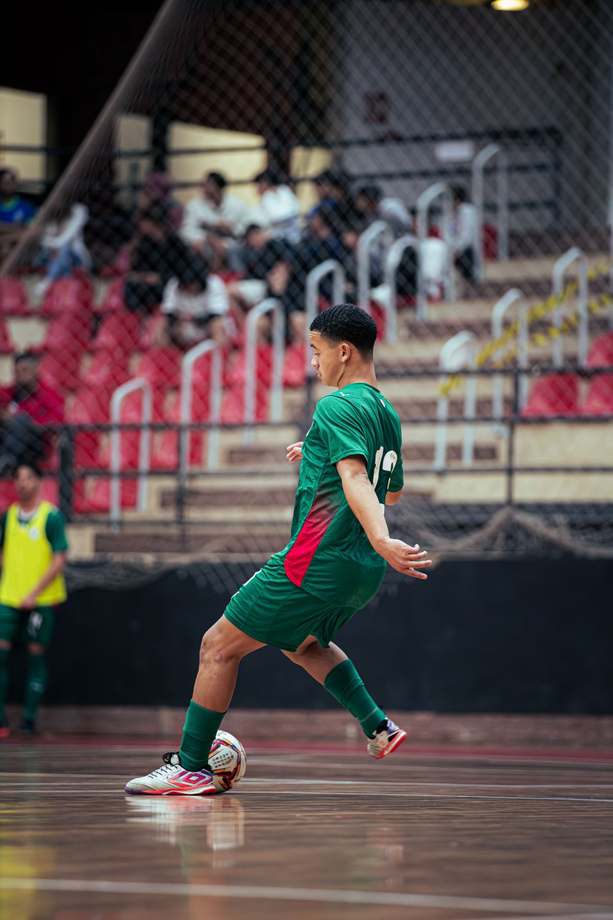 Palmeiras — foto 19