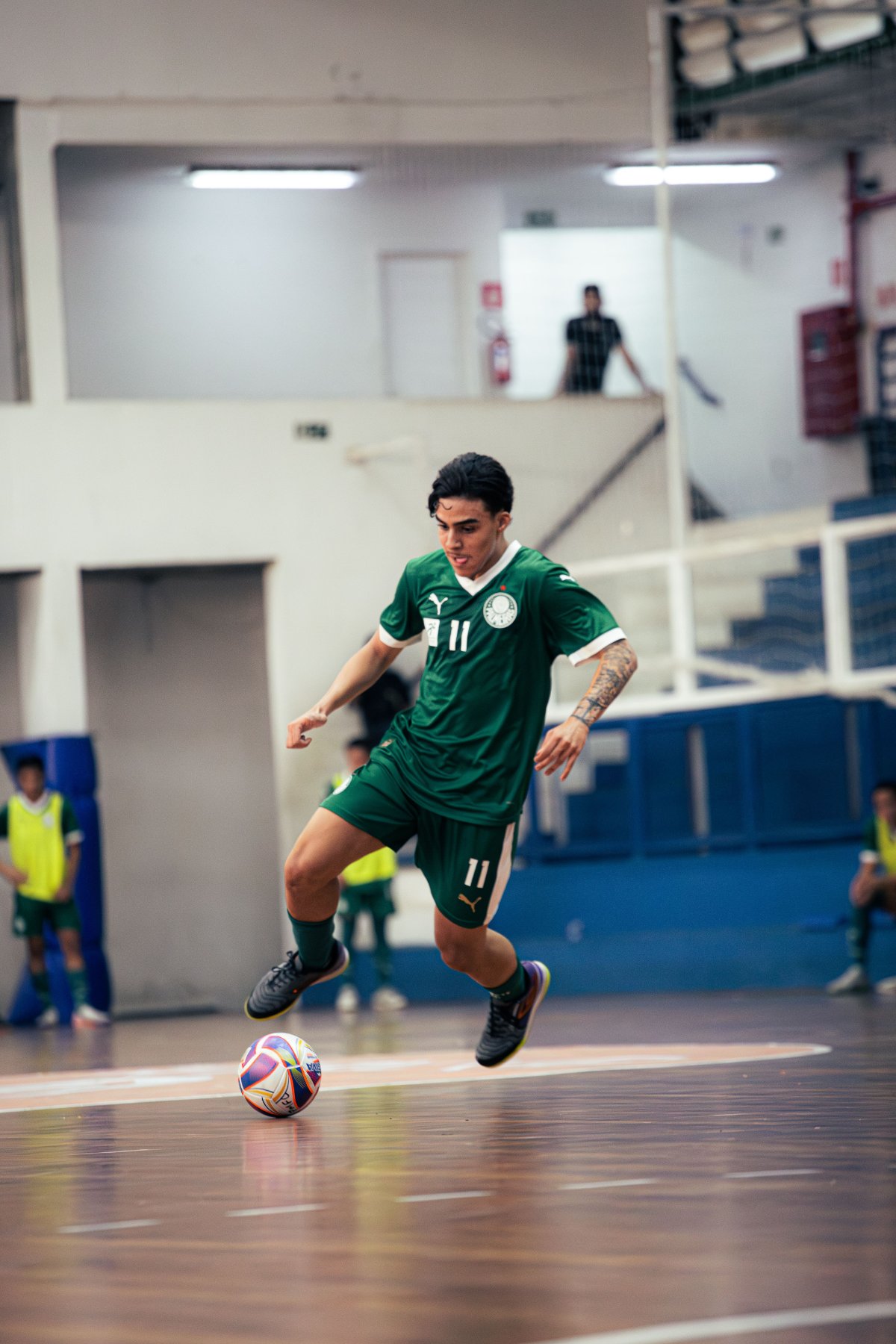 Palmeiras — foto 20
