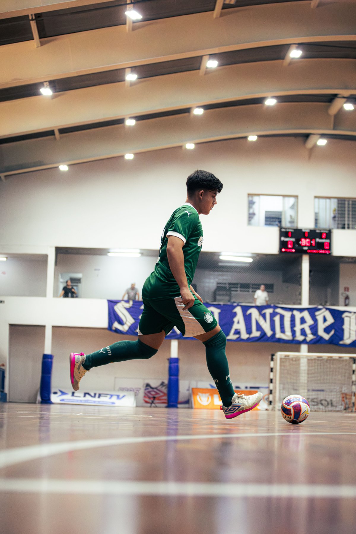 Palmeiras — foto 21