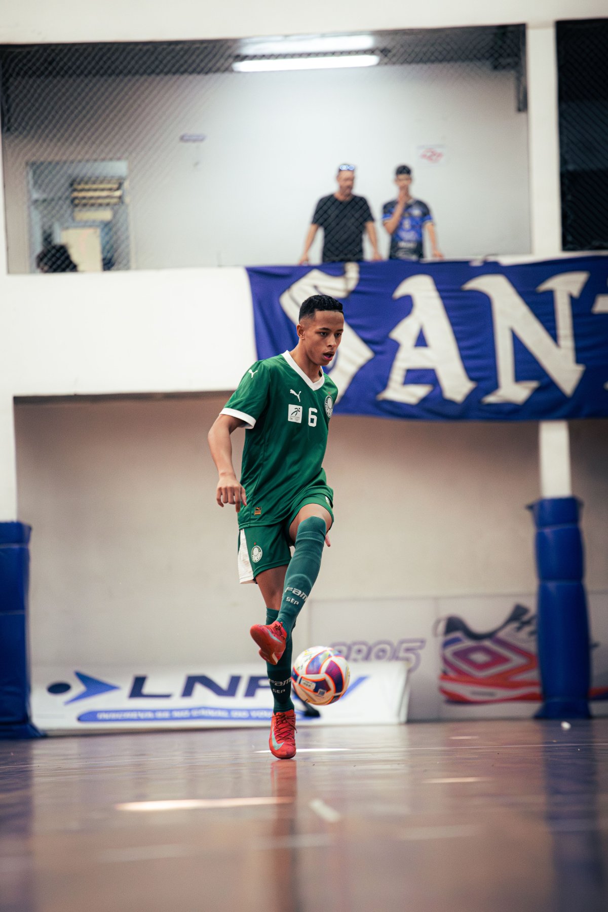 Palmeiras — foto 22