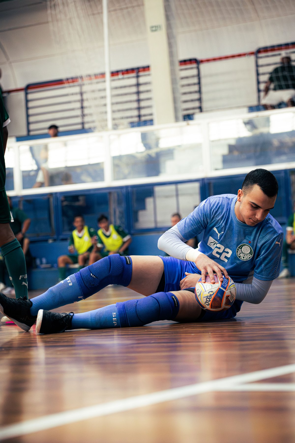 Palmeiras — foto 25