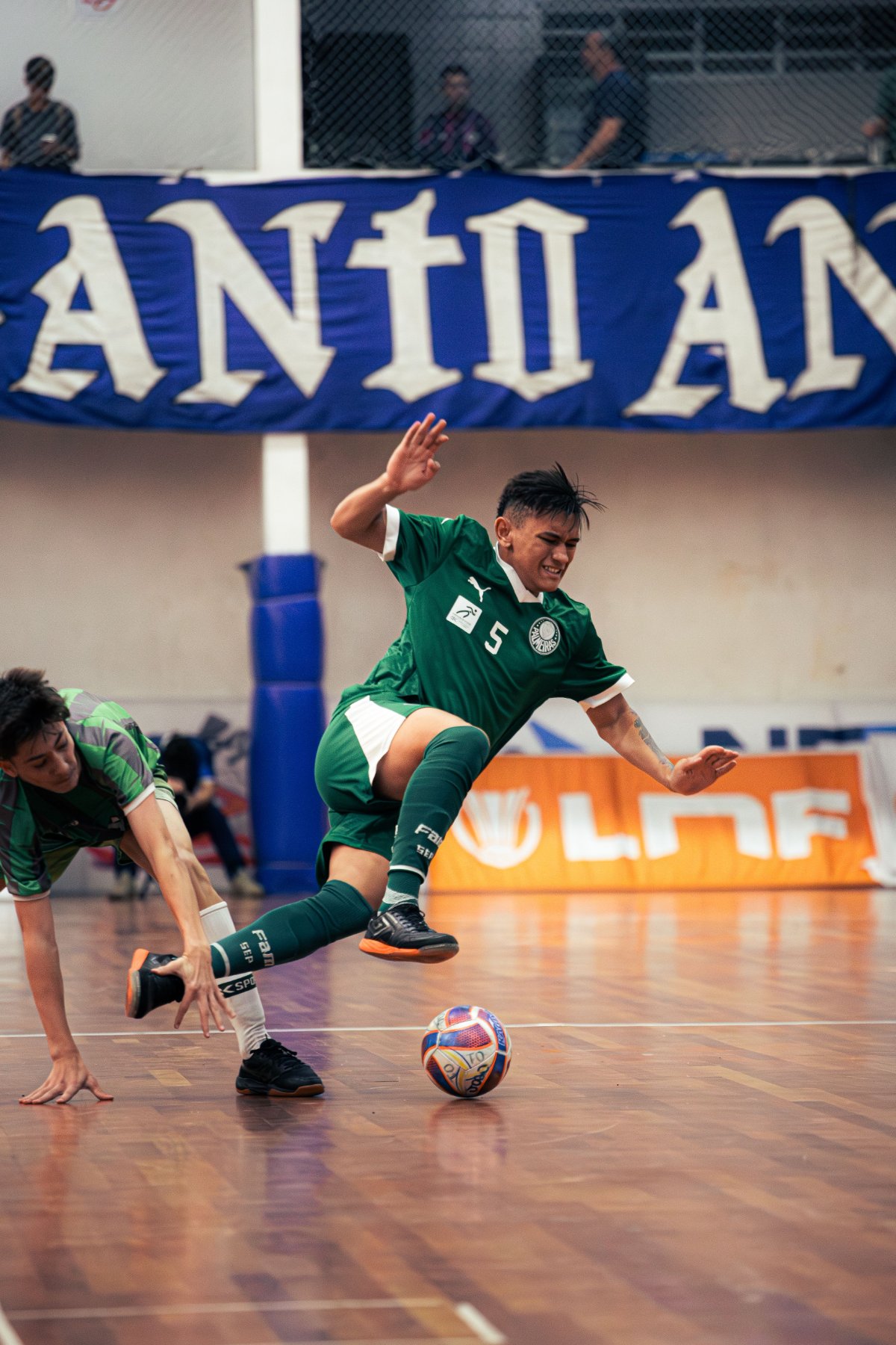 Palmeiras — foto 26