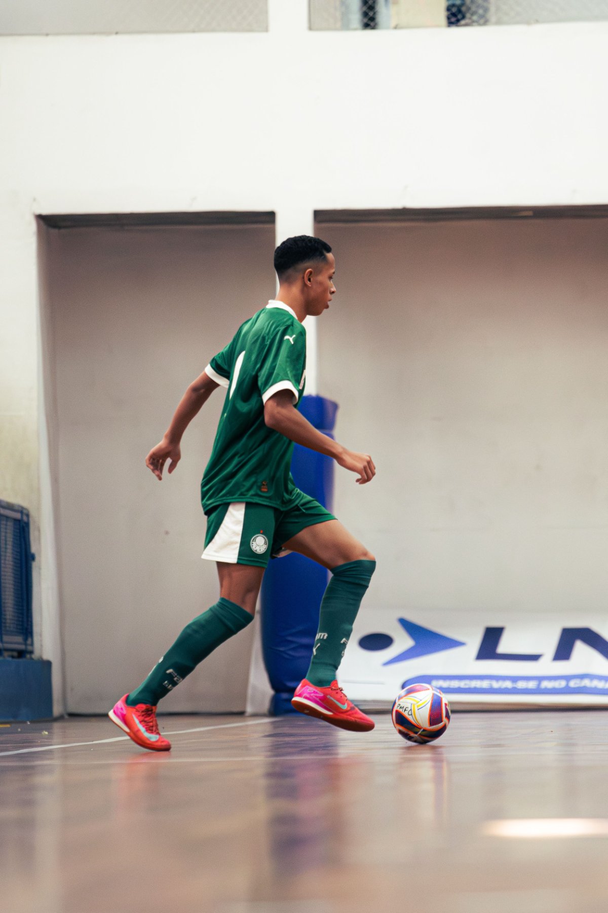 Palmeiras — foto 27