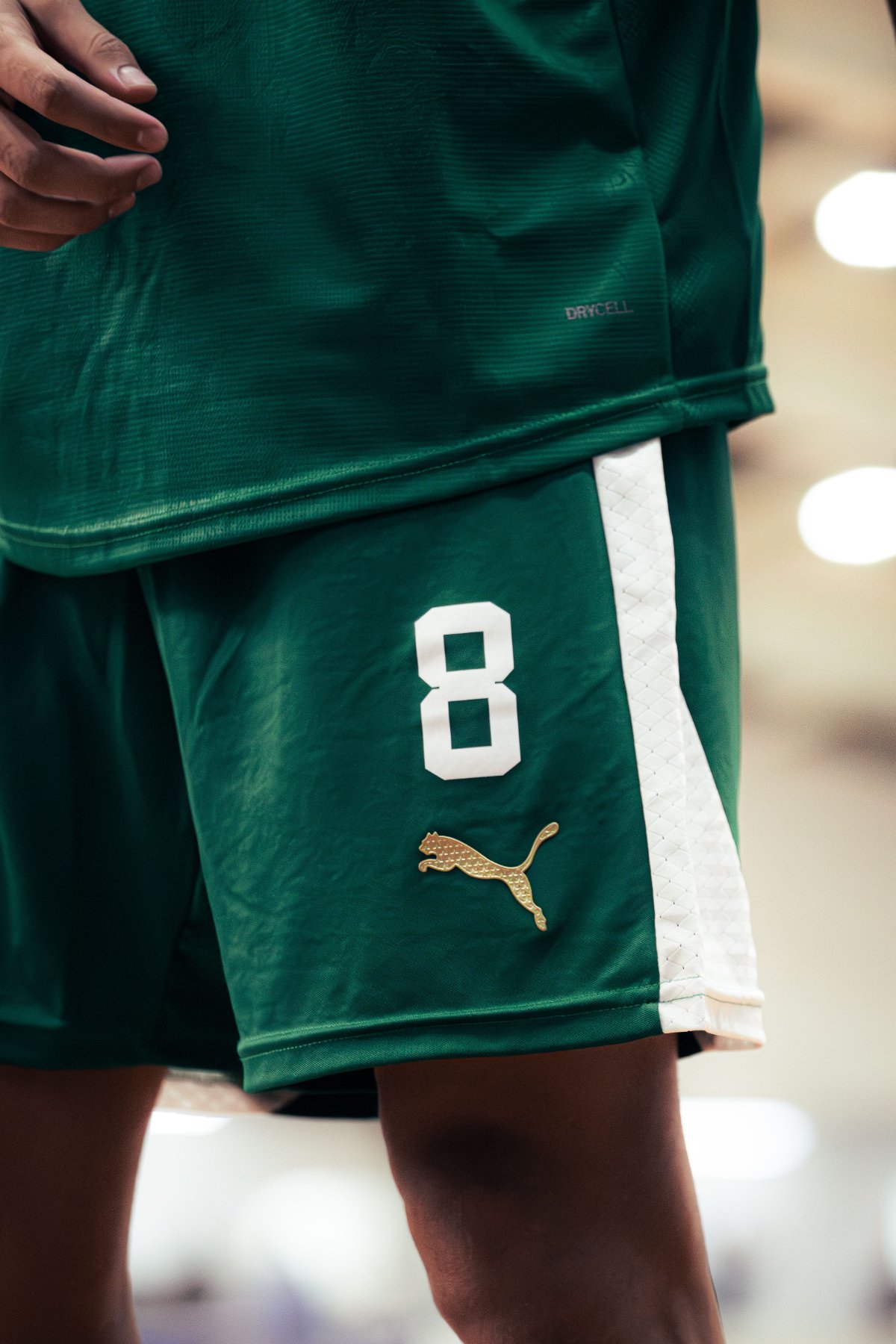 Palmeiras — foto 28