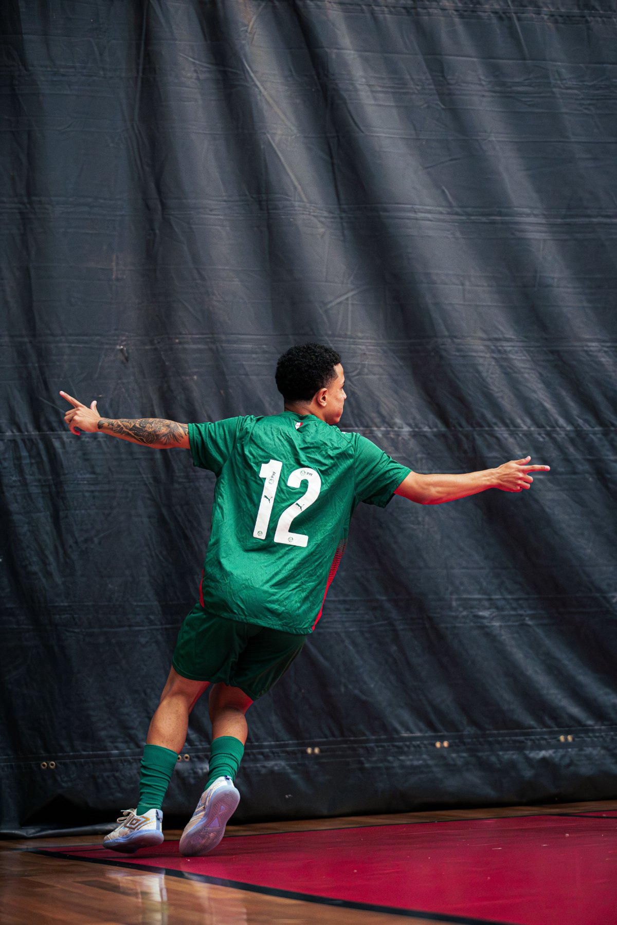 Palmeiras — foto 29
