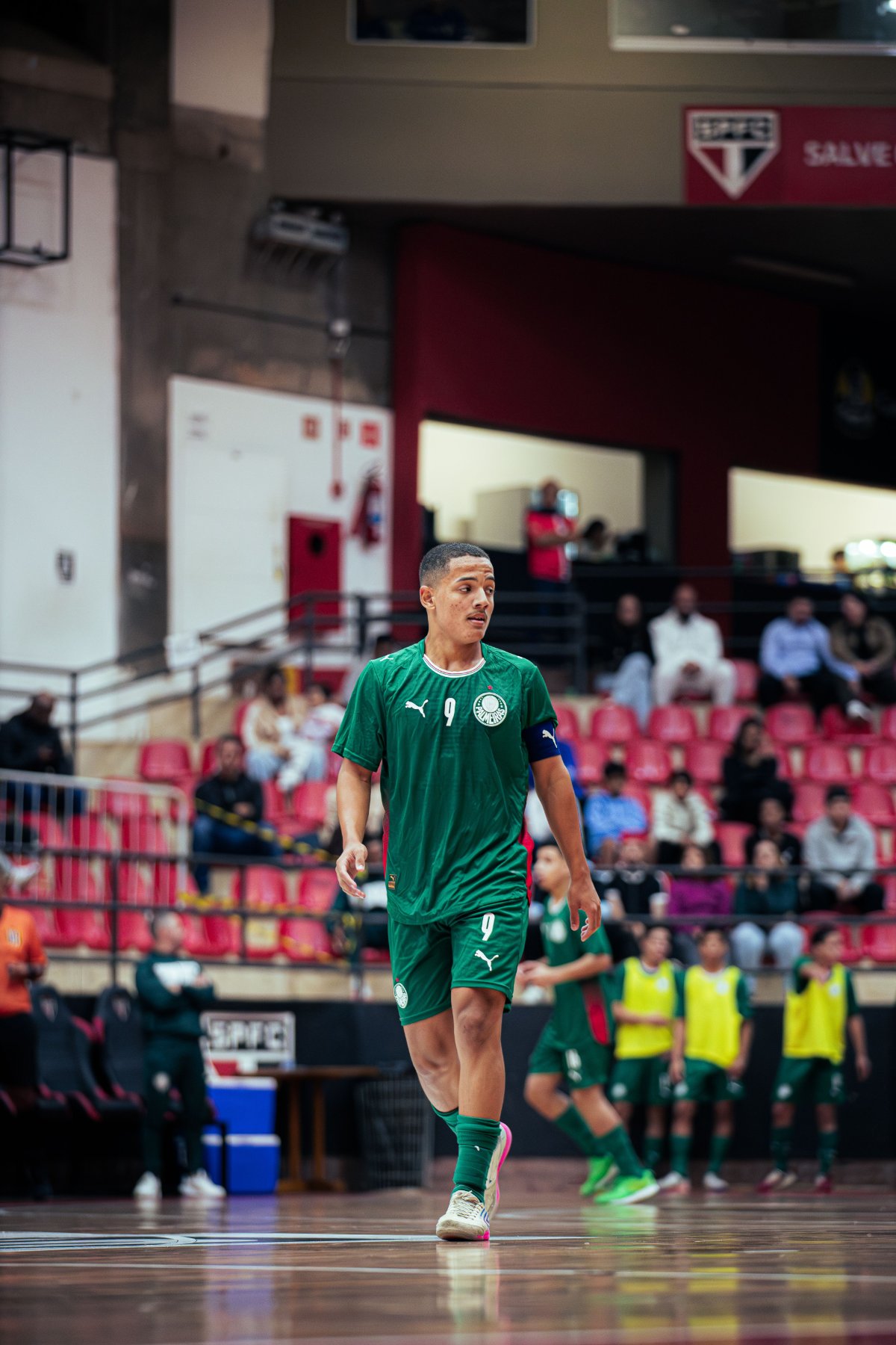 Palmeiras — foto 30