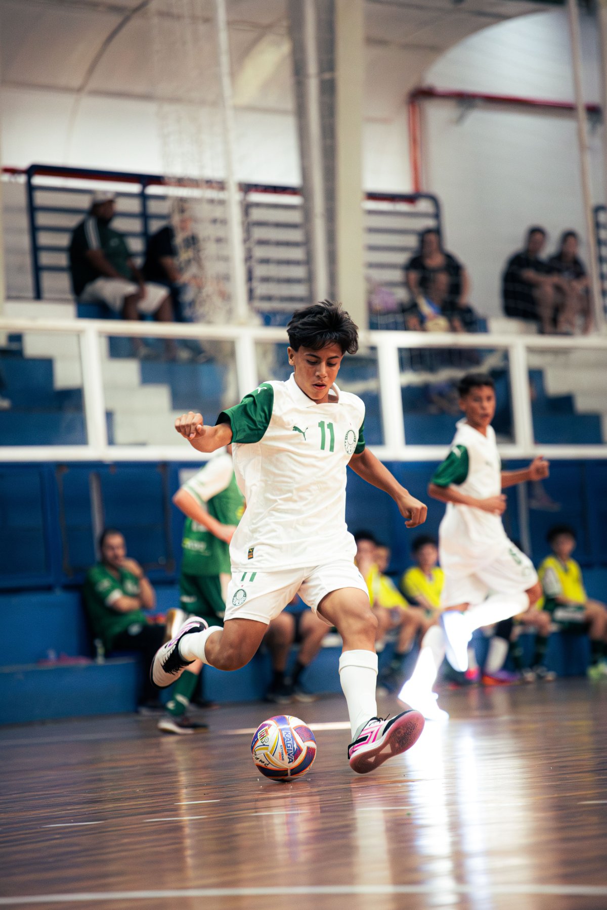 Palmeiras — foto 32