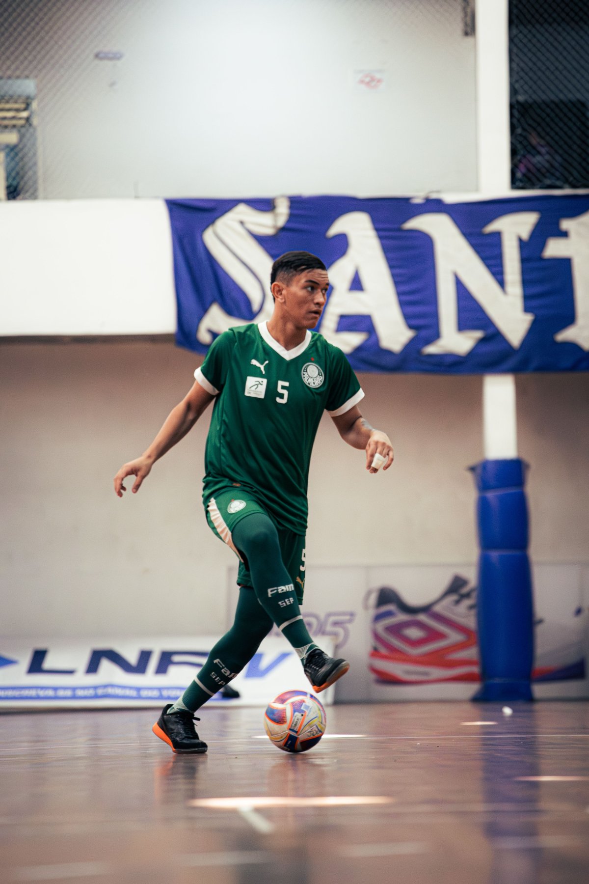 Palmeiras — foto 34