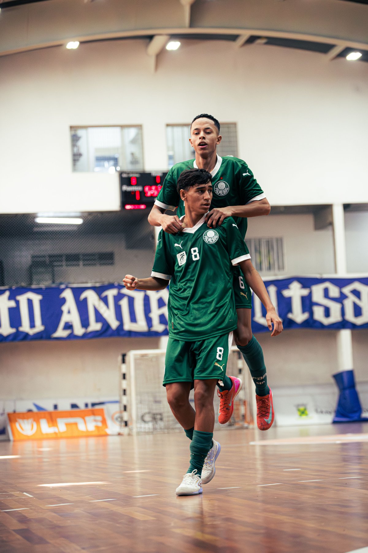 Palmeiras — foto 35