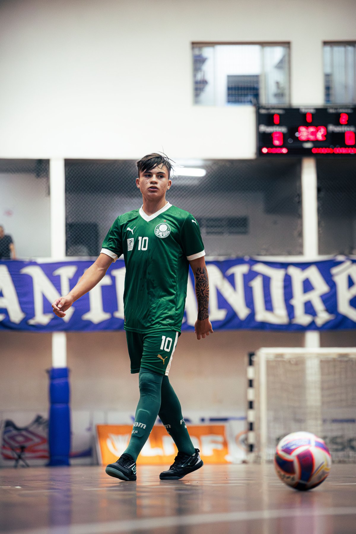 Palmeiras — foto 38
