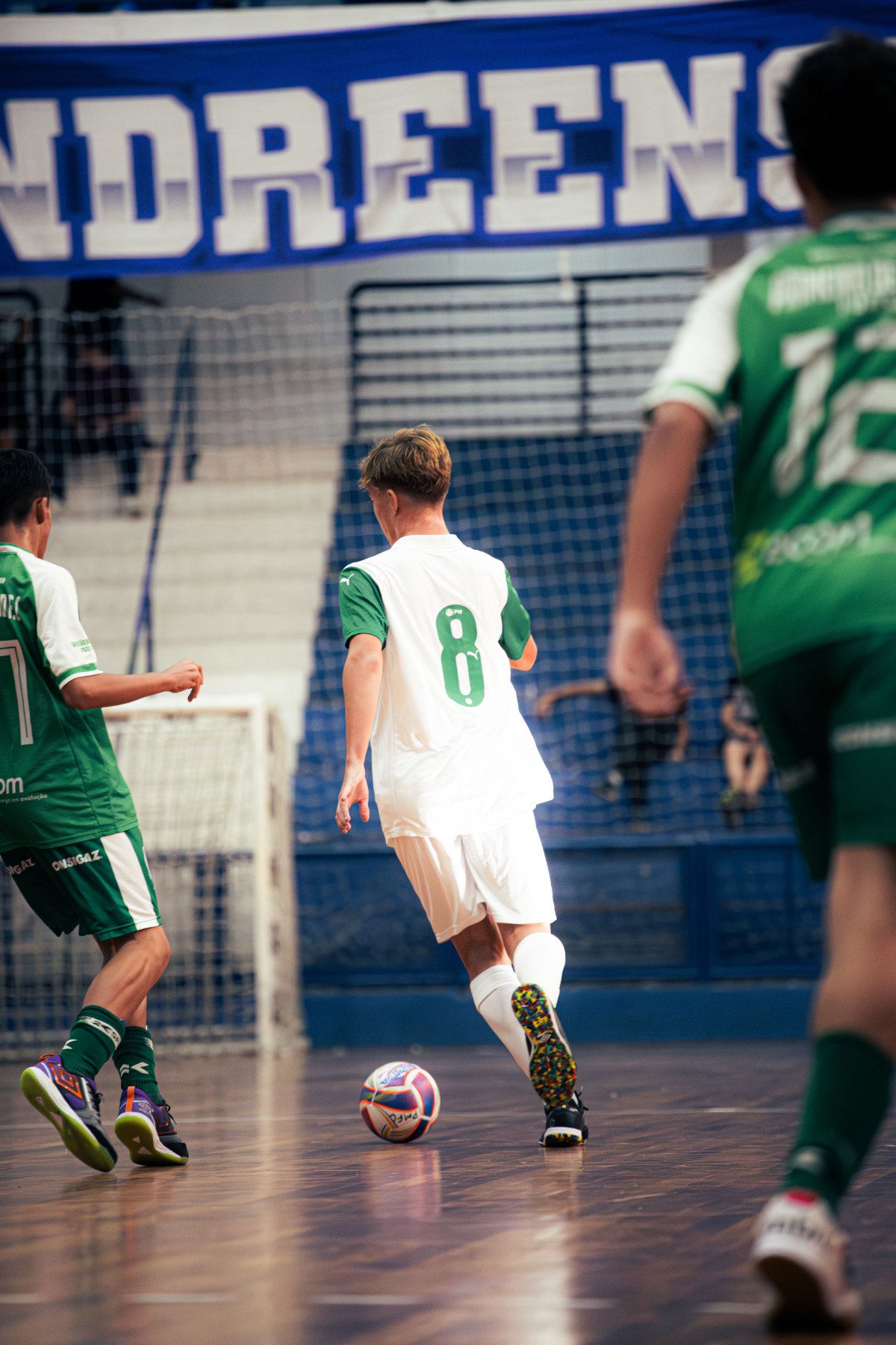Palmeiras — foto 39