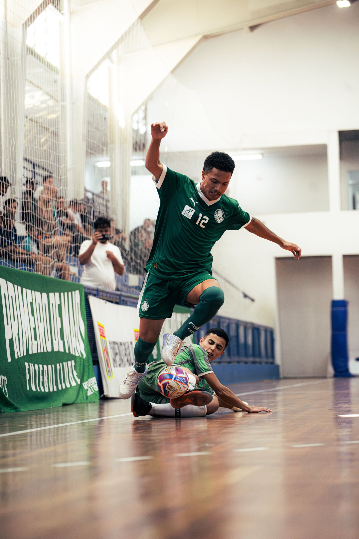 Palmeiras — foto 41