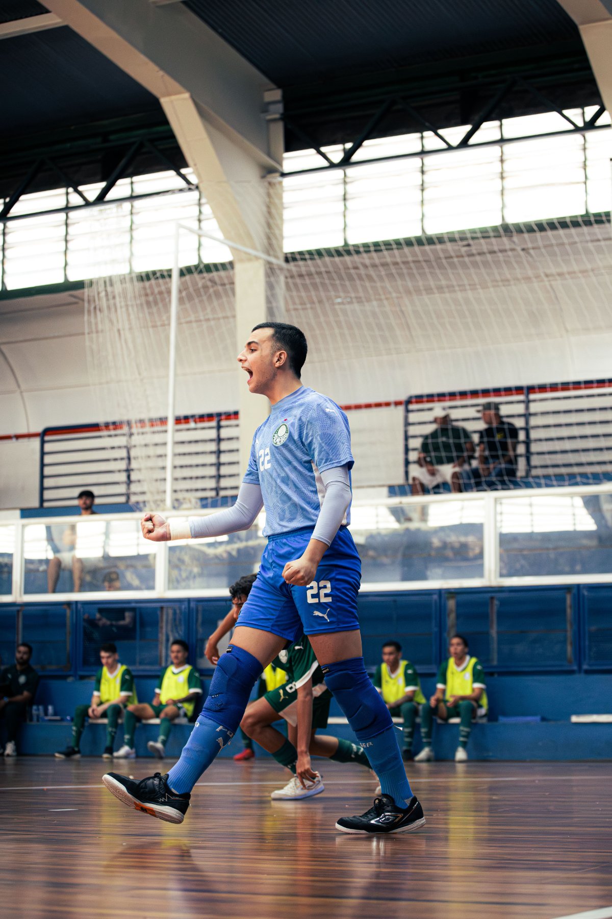 Palmeiras — foto 42