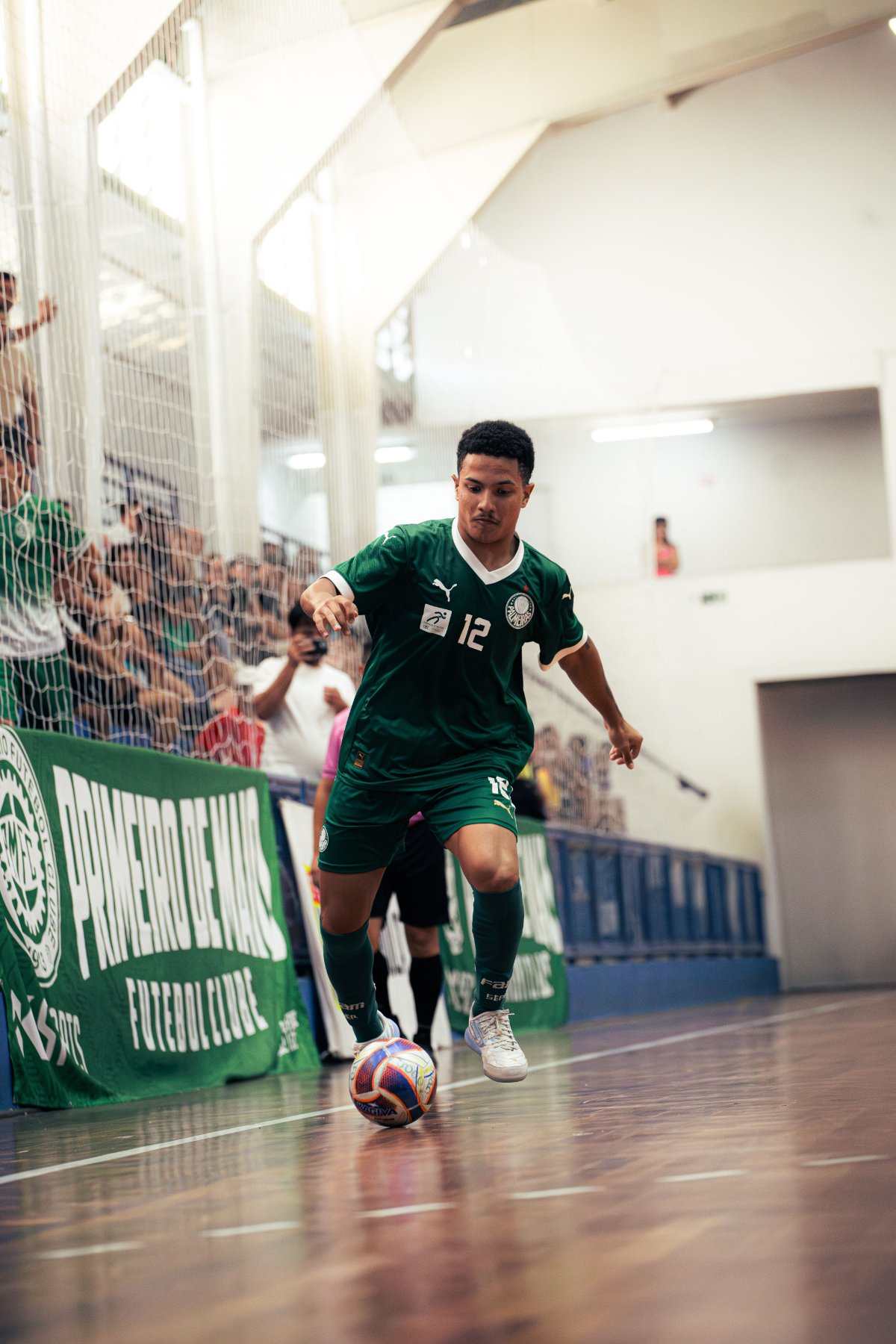 Palmeiras — foto 44