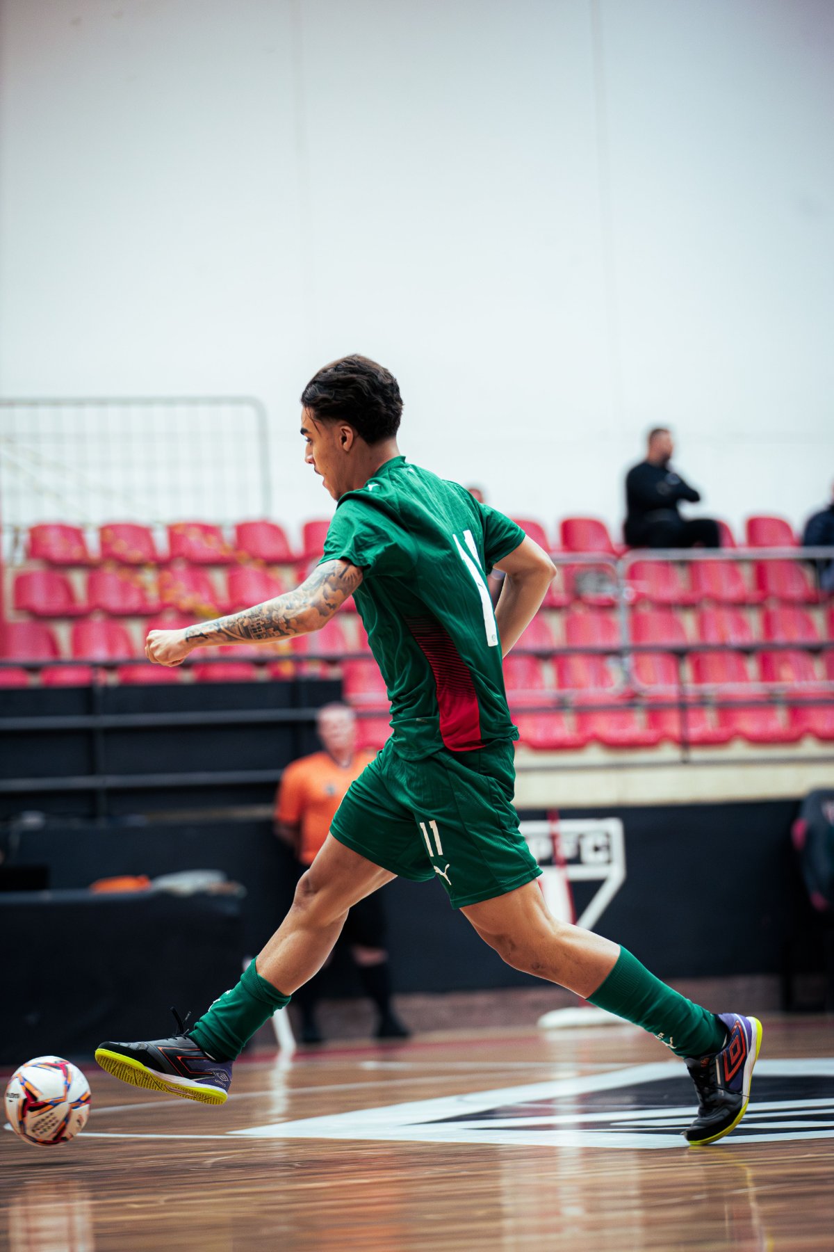 Palmeiras — foto 45