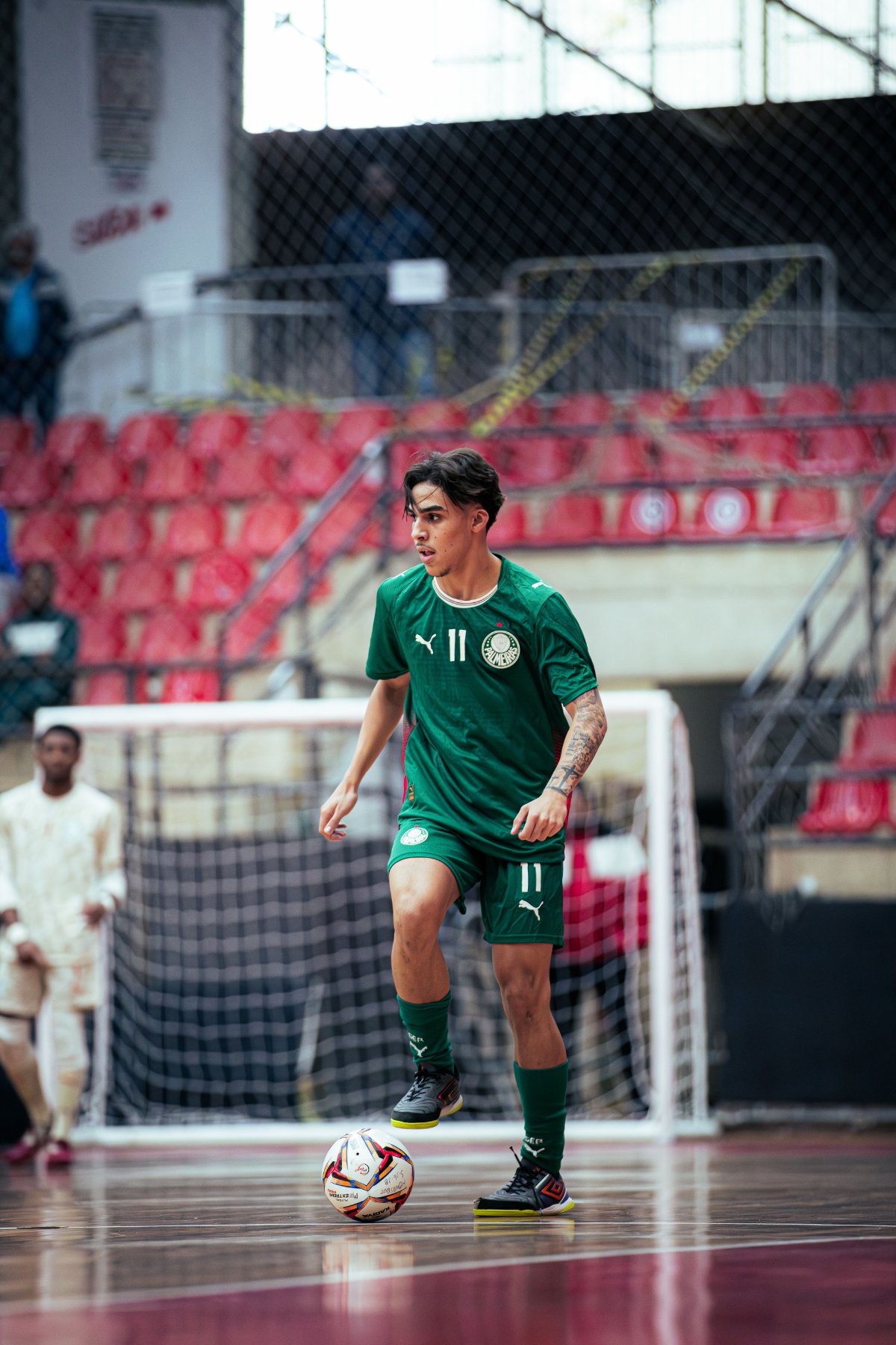 Palmeiras — foto 48
