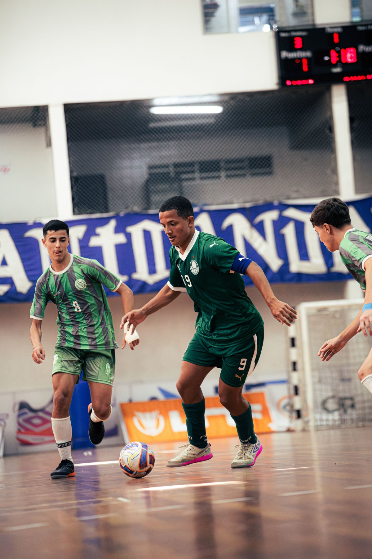 Palmeiras — foto 49
