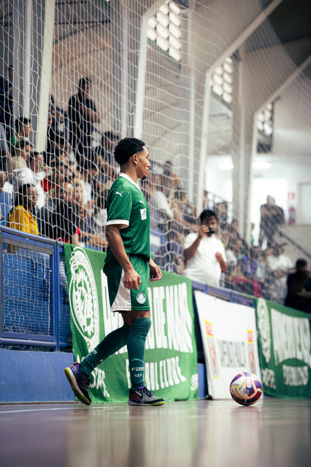 Palmeiras — foto 50