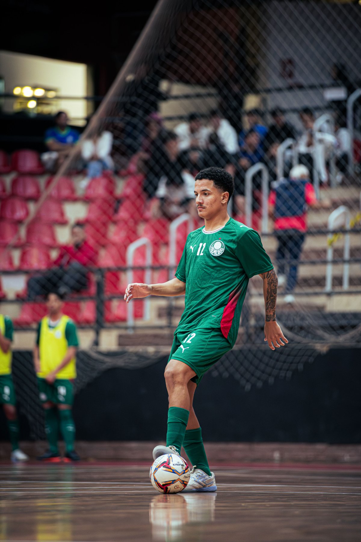 Palmeiras — foto 51
