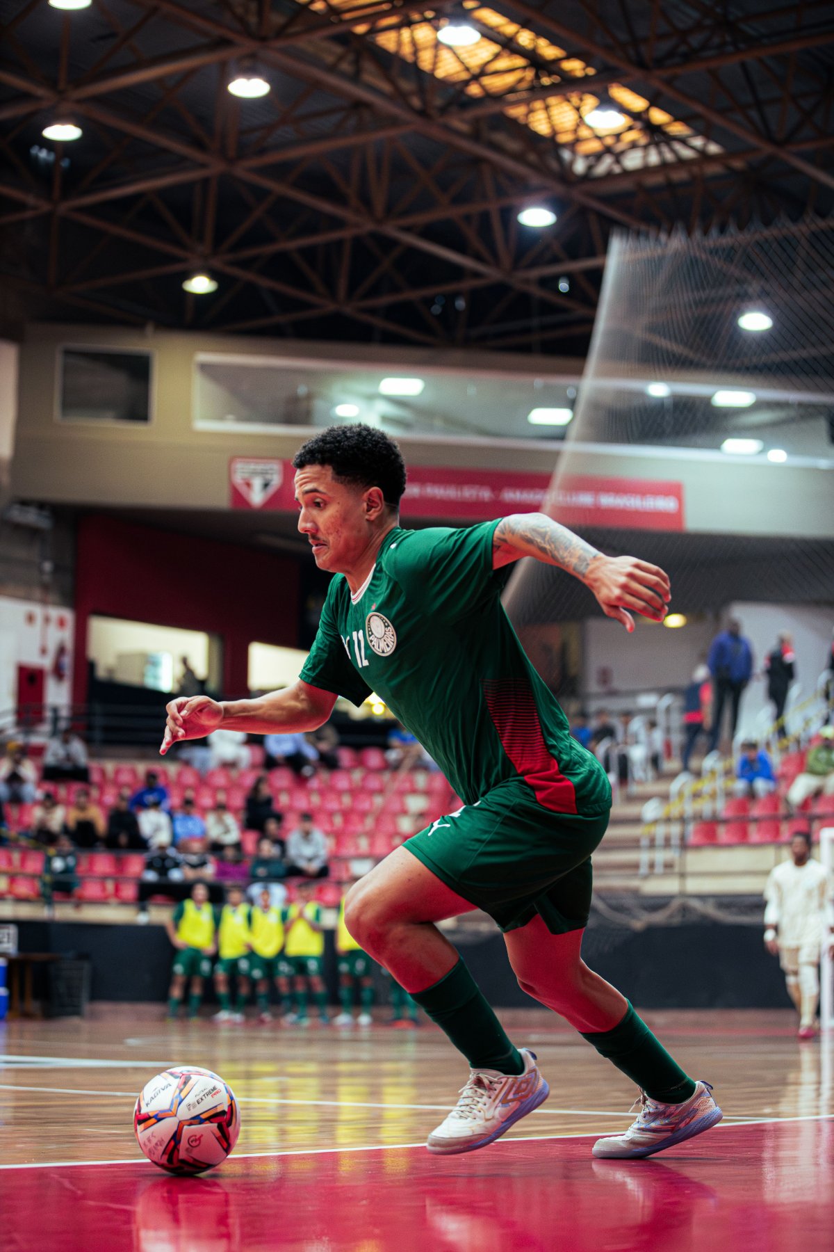 Palmeiras — foto 53