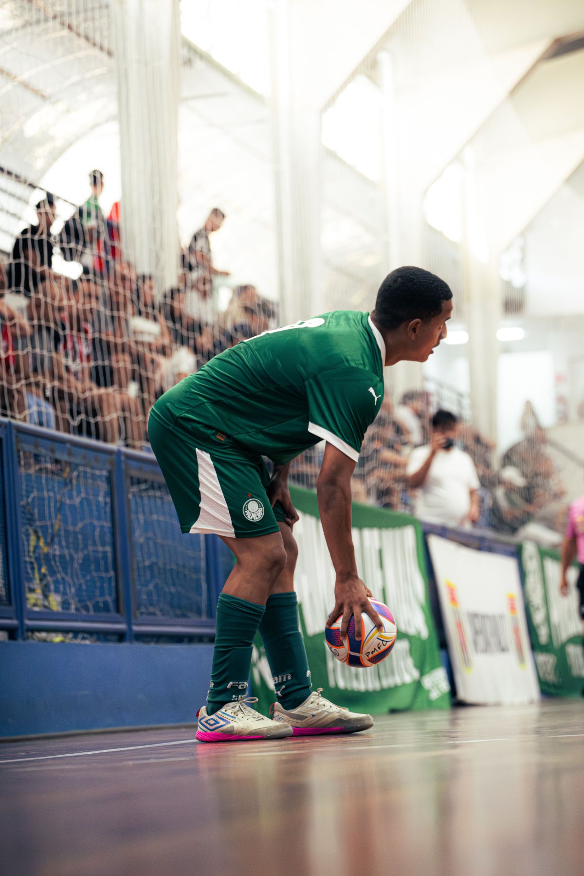 Palmeiras — foto 54
