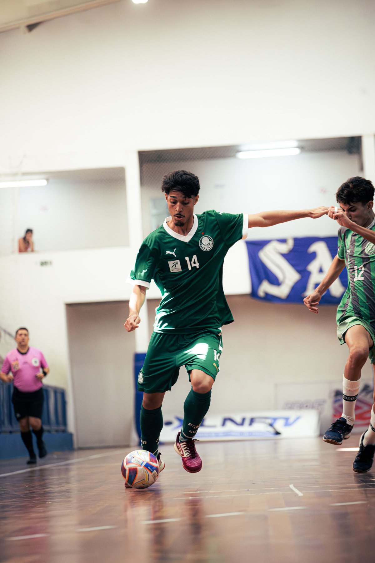 Palmeiras — foto 55